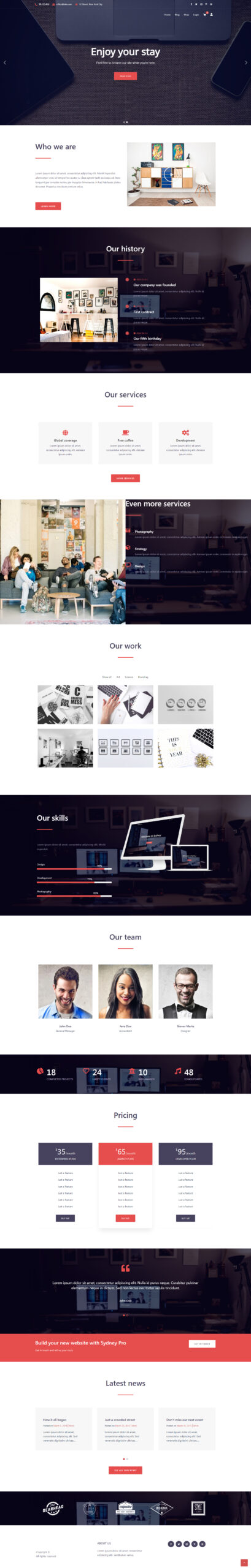 Marketing Digital - Modelo de Site Agency Pro